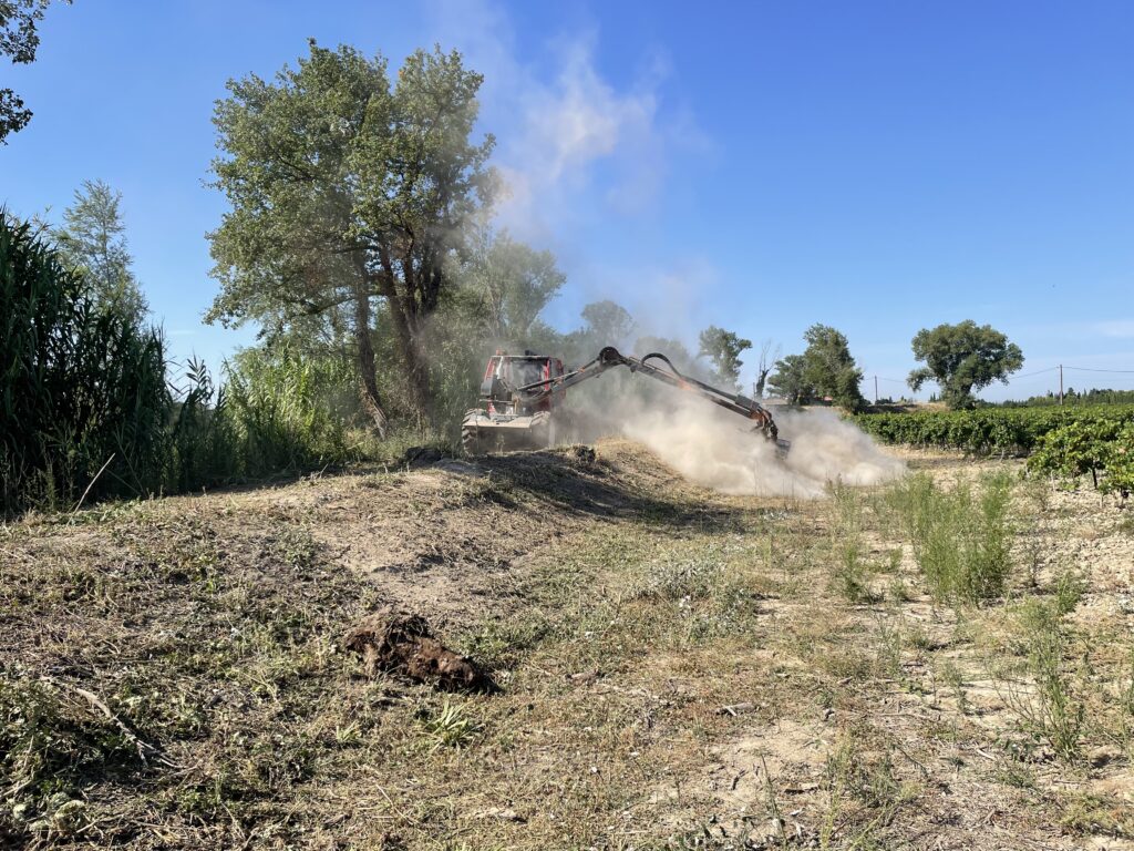 débroussaillage,débroussaillement, Ferragut Espaces verts, MASE , fauchage