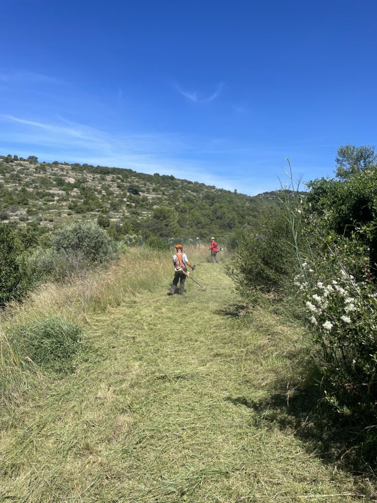 débroussaillage,débroussaillement,nettoyage terrain